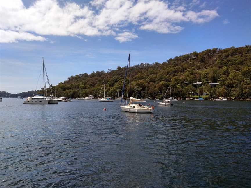 The Basin track and Mackerel track, Ku-Ring-Gai Chase, NSW