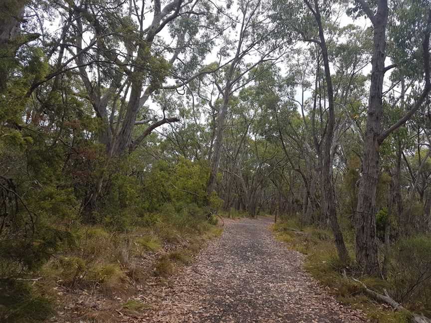 Mylor Conservation Park, Mylor, SA