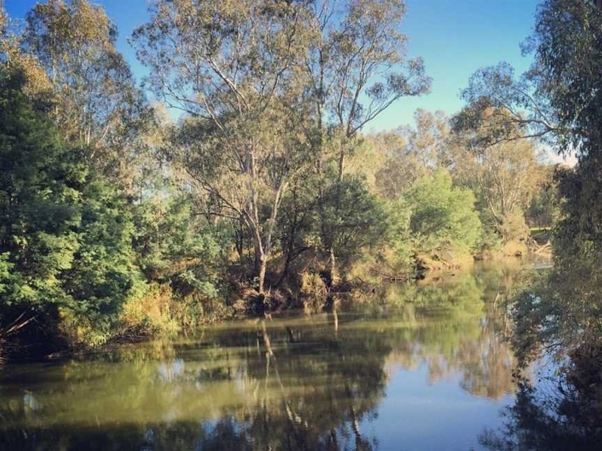 Frosts Reserve, Killawarra, VIC