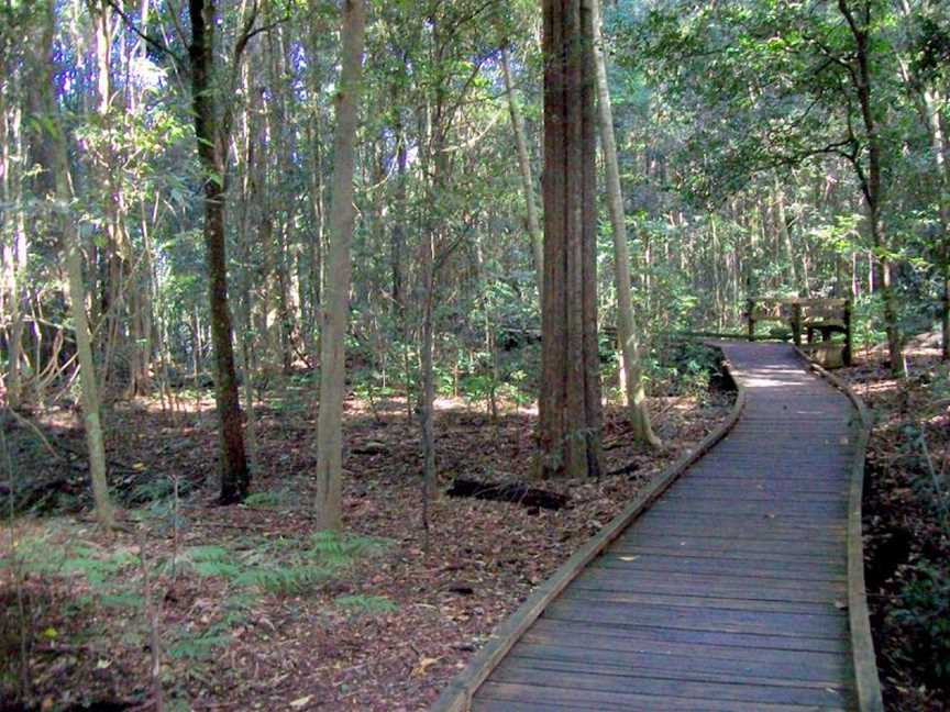 Wingham Brush Nature Reserve, Wingham, NSW