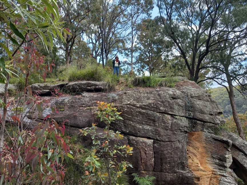 Yellomundee Regional Park, Winmalee, NSW