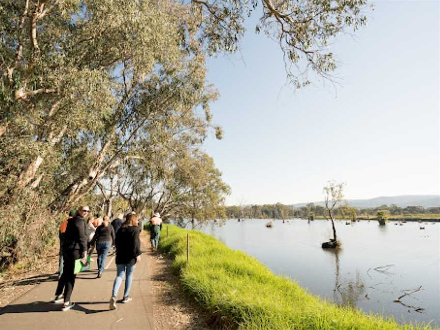 Albury - Murray River Precinct, Albury, NSW