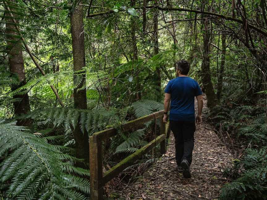 Tanglefoot Loop, Toolangi, VIC