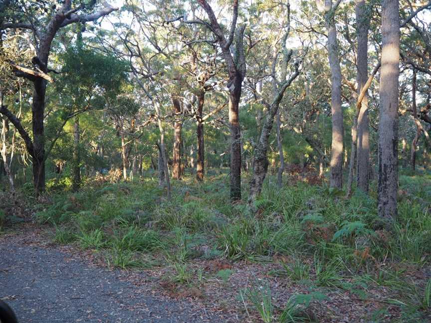 Red Point picnic area, Wollumboola, NSW