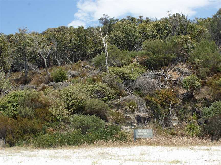 Jervis Bay National Park, Wollumboola, NSW