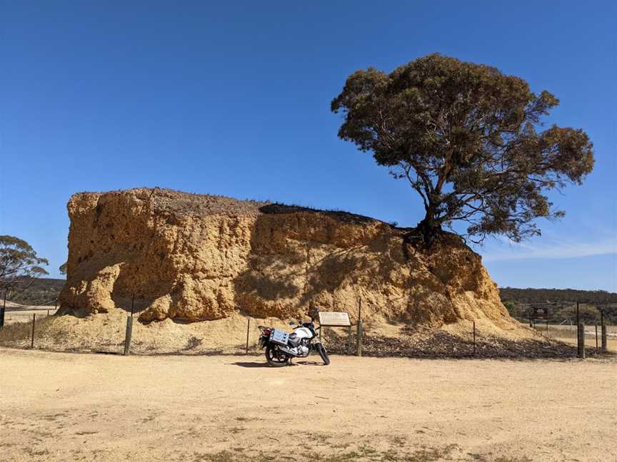 Shell Hill Reserve, Wongulla, SA