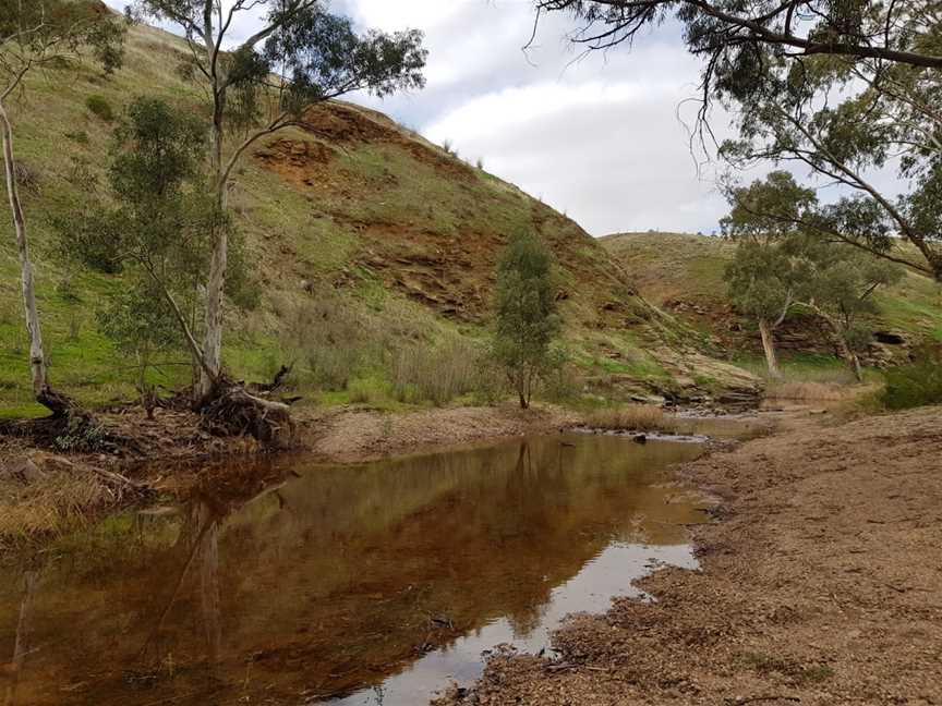 Rocks Reserve, Owen, SA