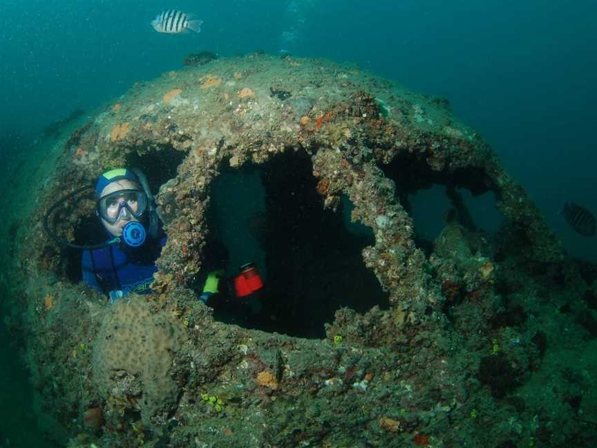 Cochrane Artificial Reef Dive Site, Bargara, QLD