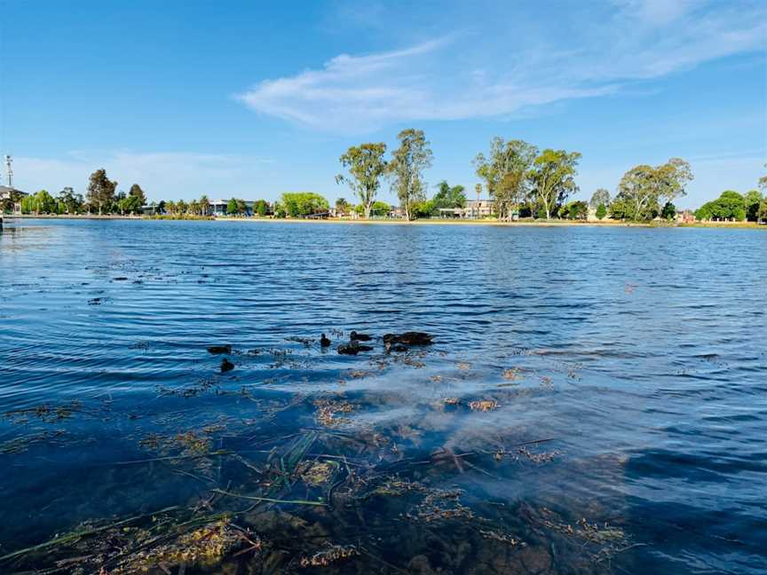 Victoria Park Lake, Shepparton, VIC