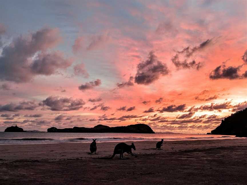 Hibiscus Coast, Cape Hillsborough, QLD