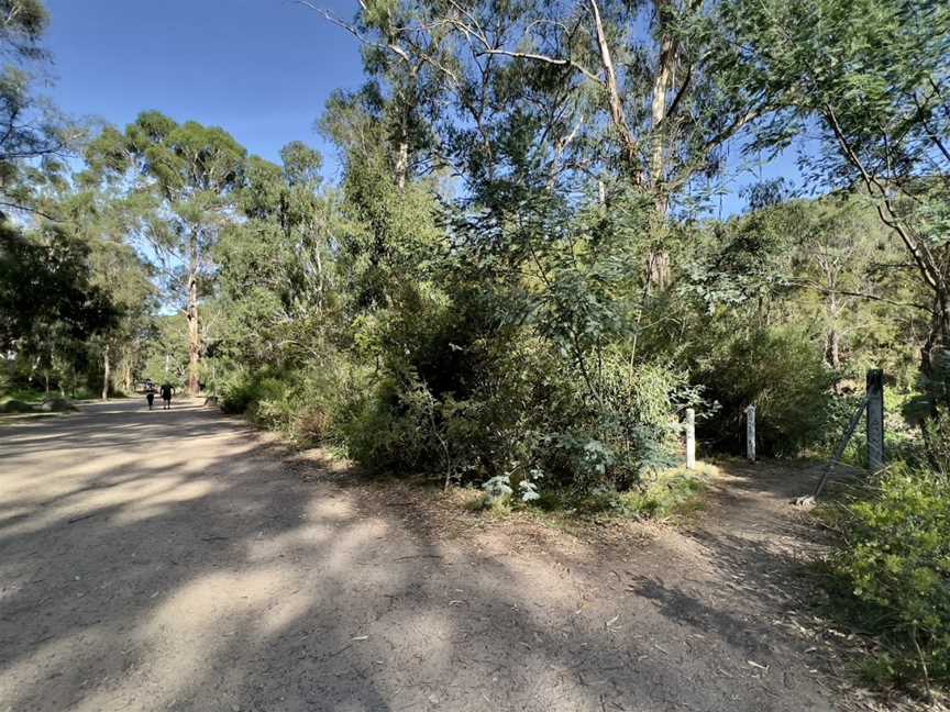 Warrandyte River Reserve, Warrandyte, VIC