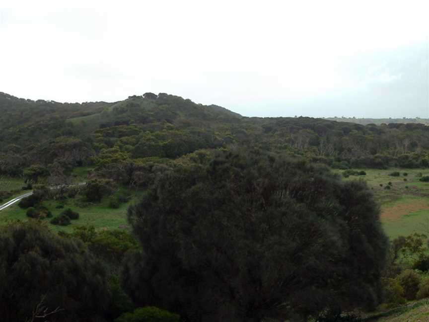 Tower Hill Wildlife Reserve, Tower Hill, VIC