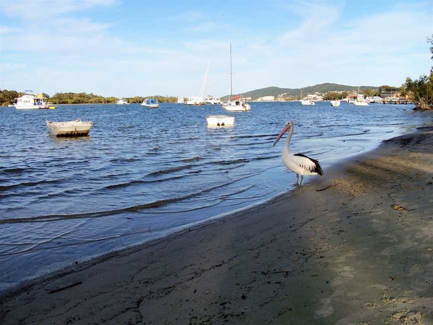 Noosa River, Noosaville, QLD