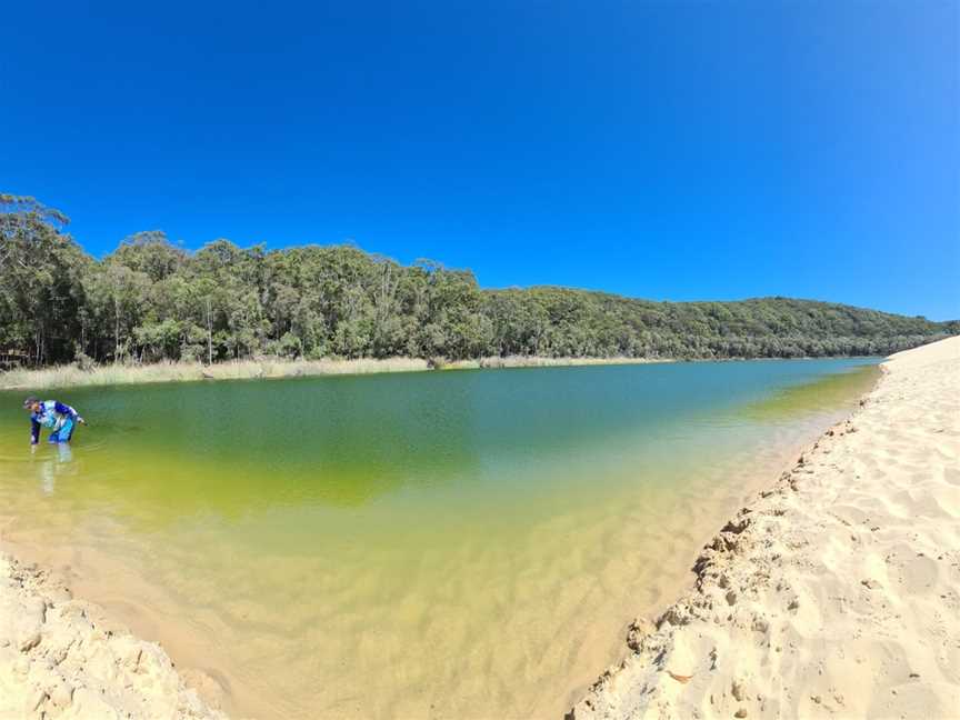 Lake Wabby, K'gari, QLD