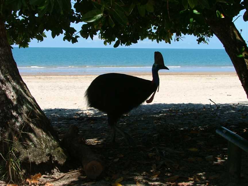 Etty Bay, Innisfail, QLD