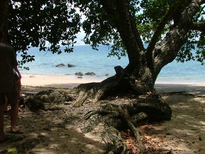 Etty Bay, Innisfail, QLD