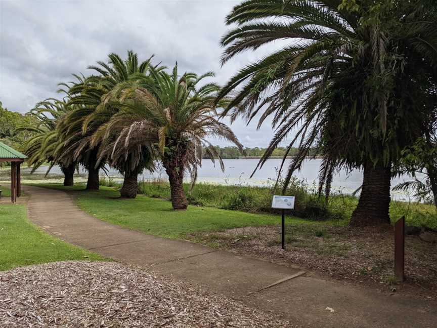 Noosa Botanic Gardens, Cooroy, QLD