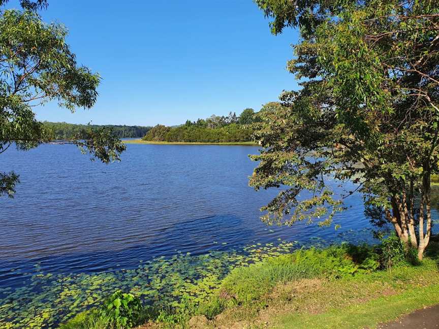 Noosa Botanic Gardens, Cooroy, QLD