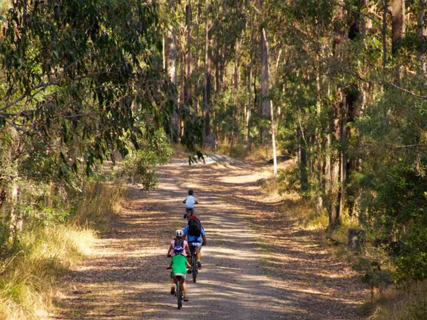 Daisy Hill Conservation Park and Koala Centre, Daisy Hill, QLD