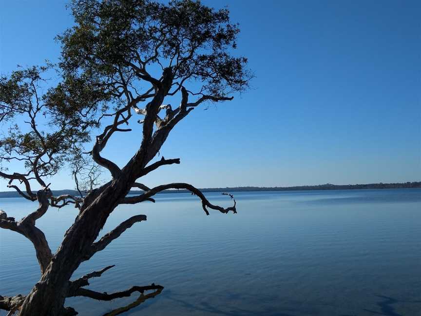 Lake Weyba, Noosaville, QLD