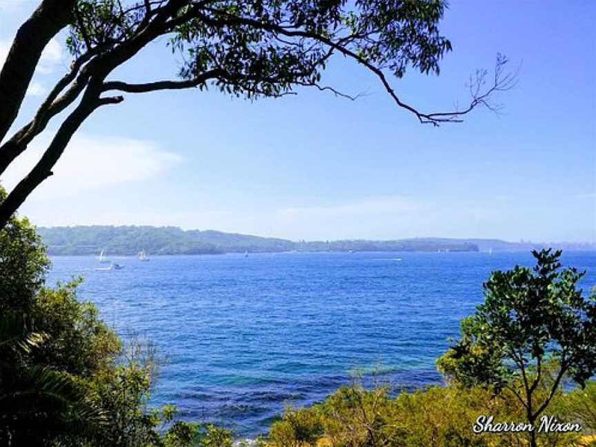 Rose Bay to Nielsen Park Walk, Sydney, NSW