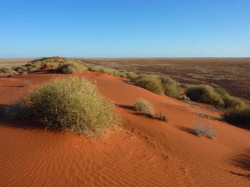 Simpson Desert, Simpson, VIC