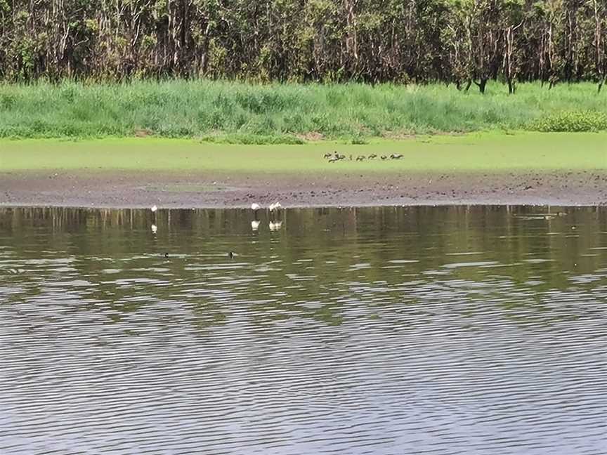 Hasties Swamp National Park, Atherton, QLD