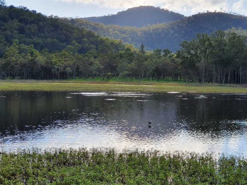 Hasties Swamp National Park, Atherton, QLD