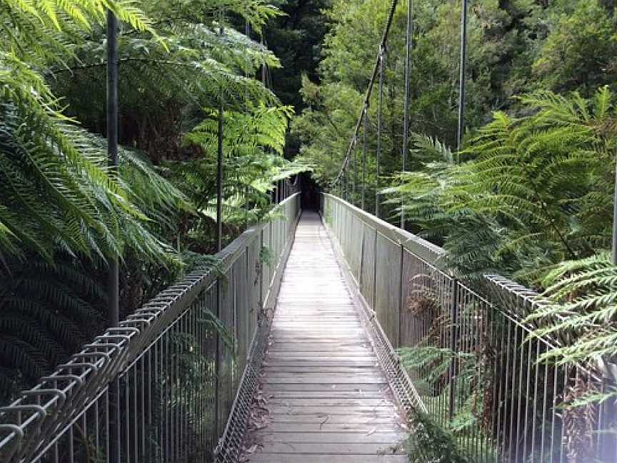 Corrigan's Suspension Bridge, Balook, VIC