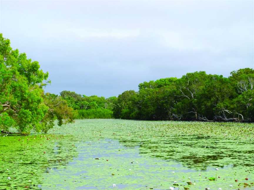 Keating's Lagoon, Cooktown, QLD