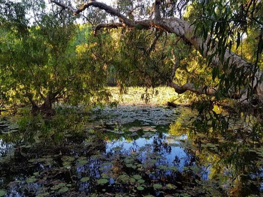 Keating's Lagoon, Cooktown, QLD