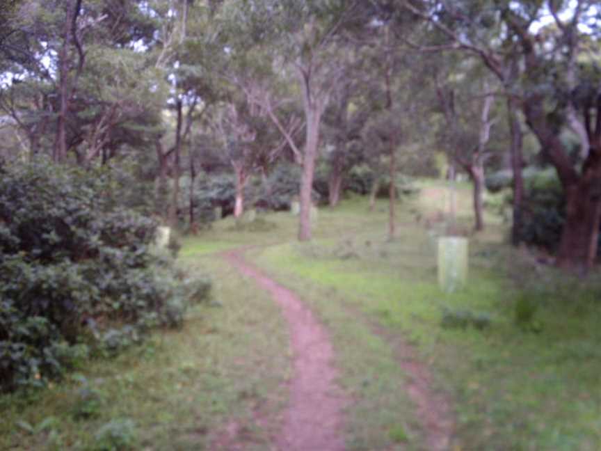 Mount Keira, Wollongong, NSW