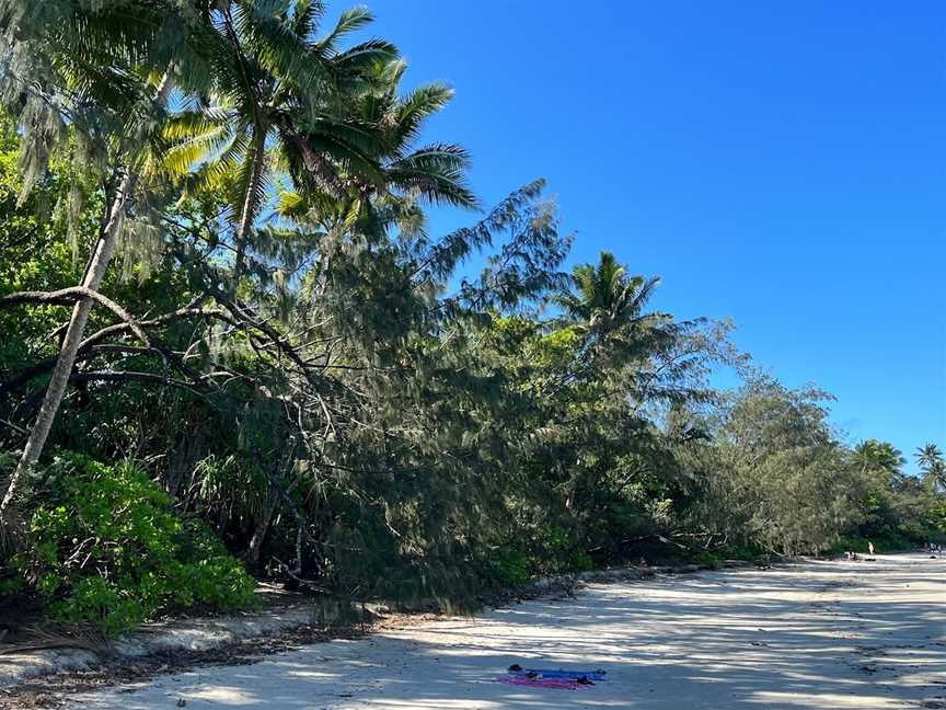 Myall Beach, Cape Tribulation, QLD