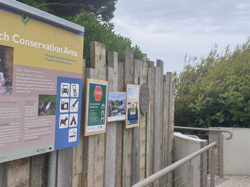 Lillico Beach Conservation Area, Lillico, TAS