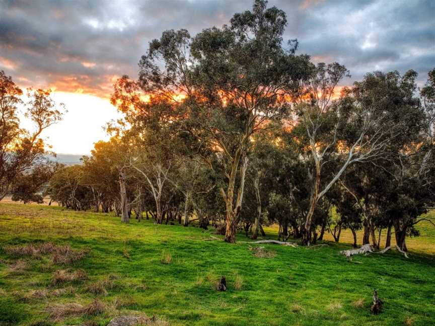 Mount Barker Summit, Mount Barker, SA