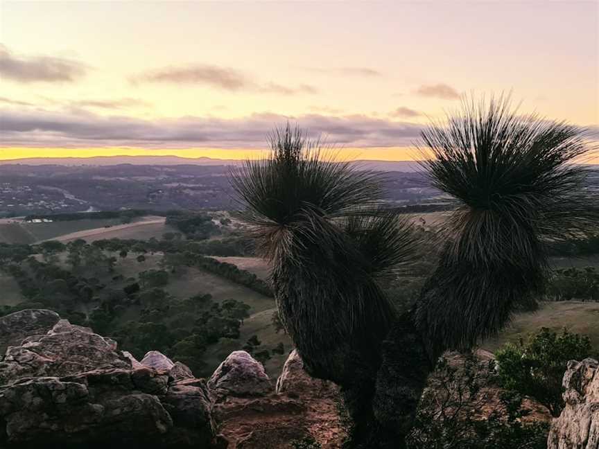 Mount Barker Summit, Mount Barker, SA