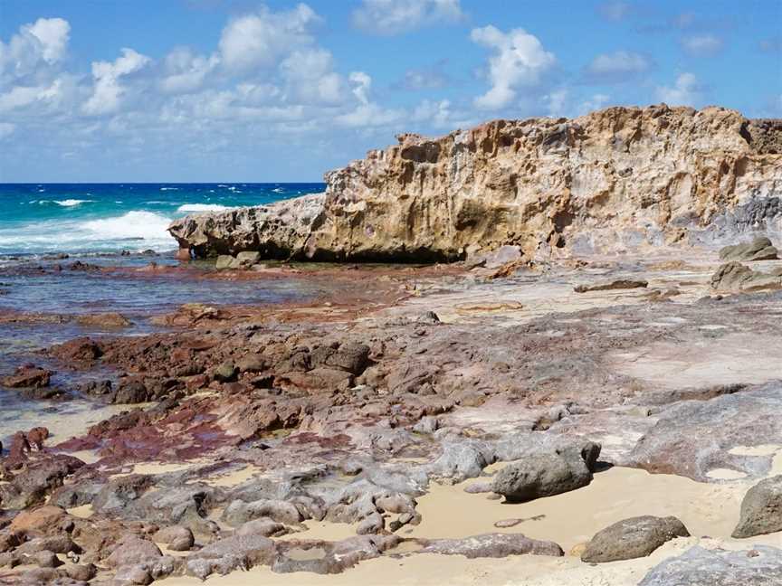 Waddy Point, K'gari, QLD