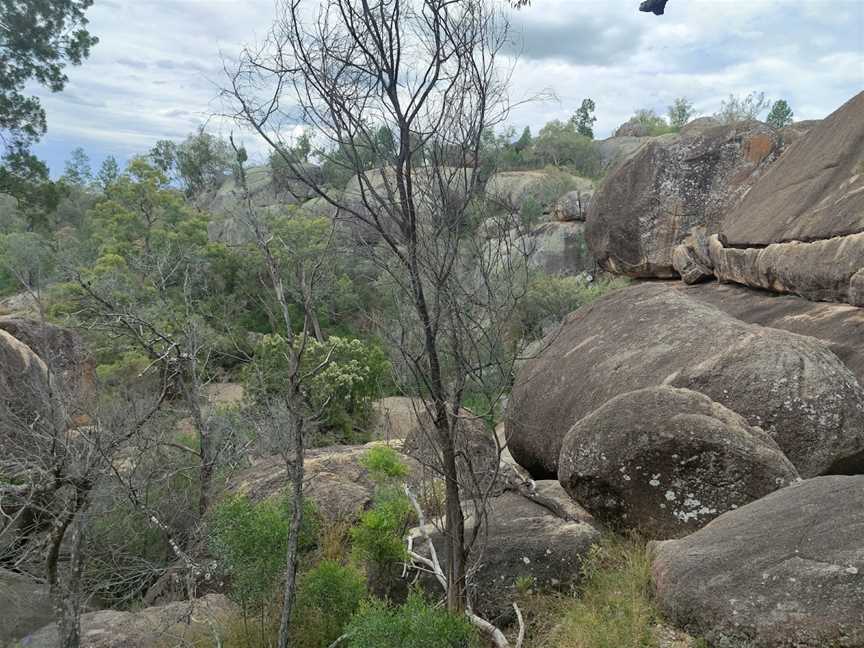 Cranky Rock Nature Reserve, Warialda, NSW