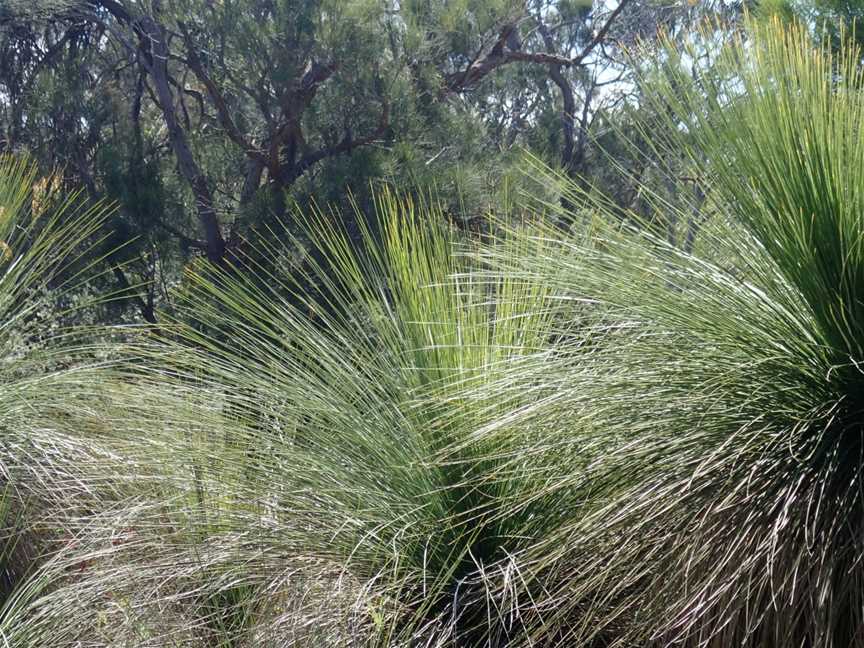 Wireless Hill Park, Ardross, WA