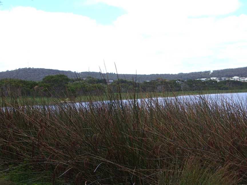 Lake Seppings, Albany, WA