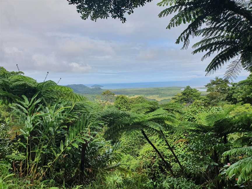 Mount Alexandra Lookout, Cape Tribulation, QLD