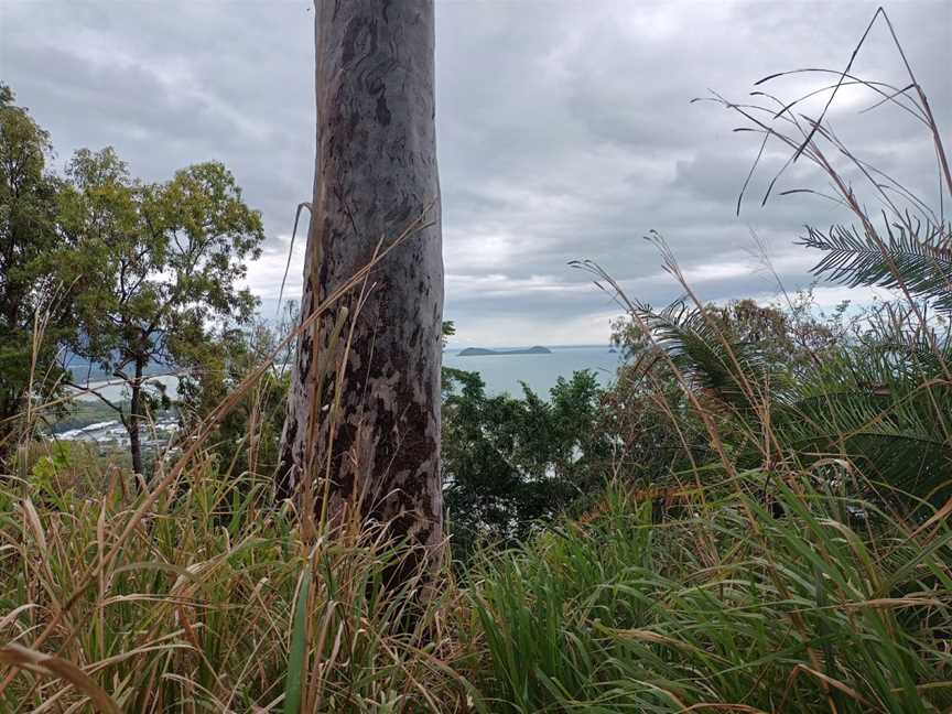 Earl Hill, Trinity Beach, QLD