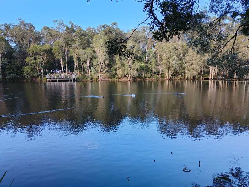 Underwood Park, Priestdale, QLD