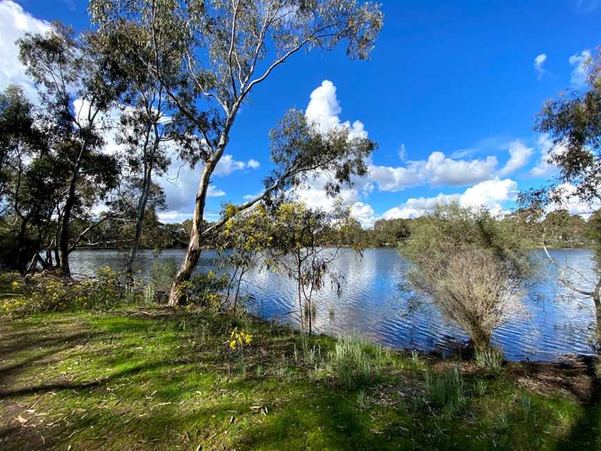 Kennington Reservoir, Bendigo, VIC