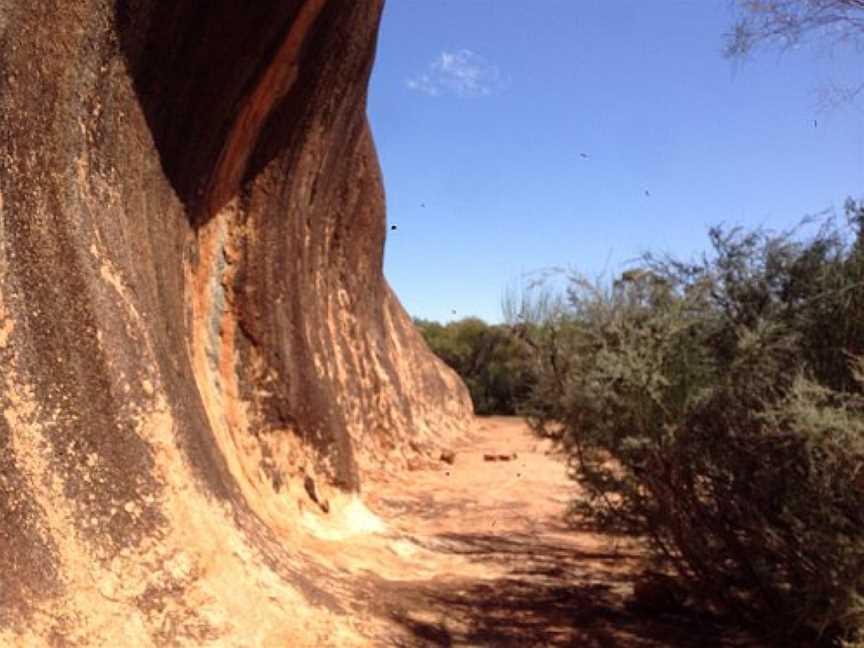 Elachbutting Nature Reserve, Mukinbudin, WA