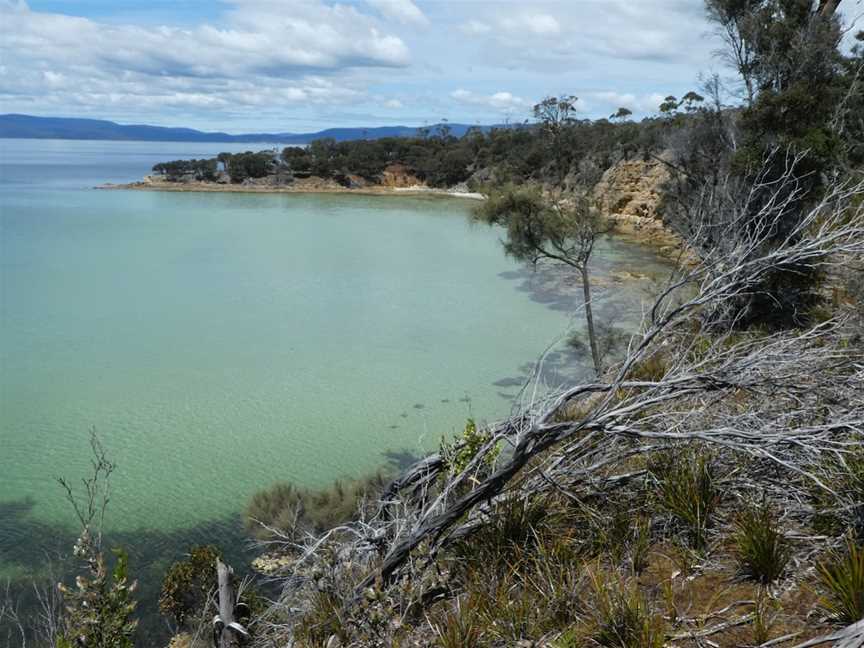 Lime Bay State Reserve, Port Arthur, TAS