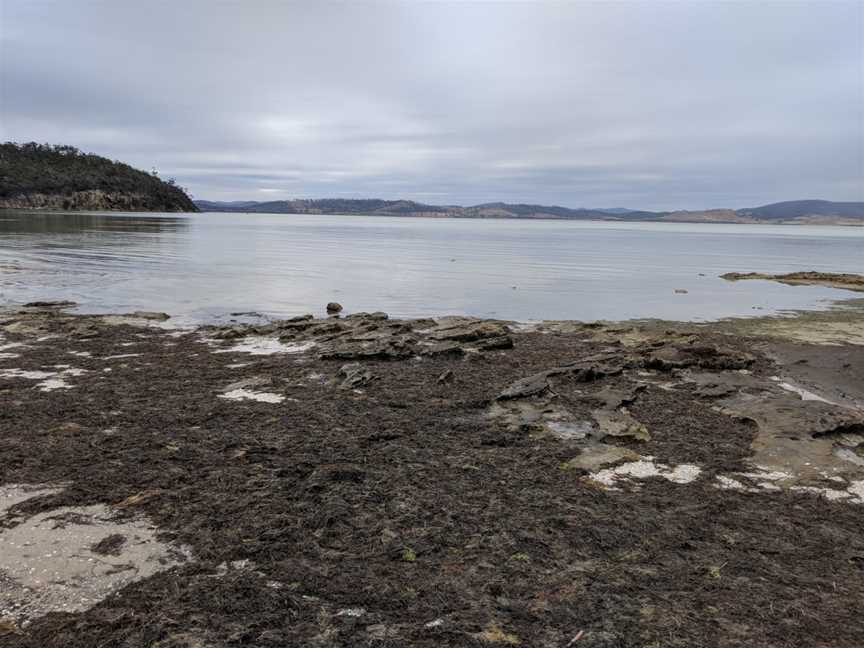 Lime Bay State Reserve, Port Arthur, TAS