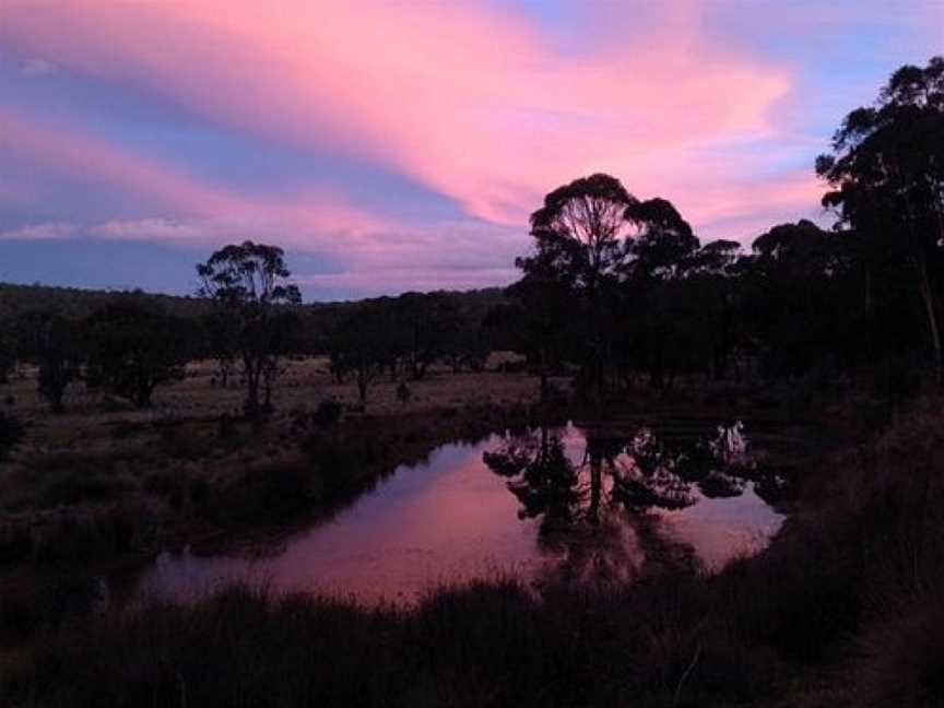 Mountain Ash Trails, Tumbarumba, NSW