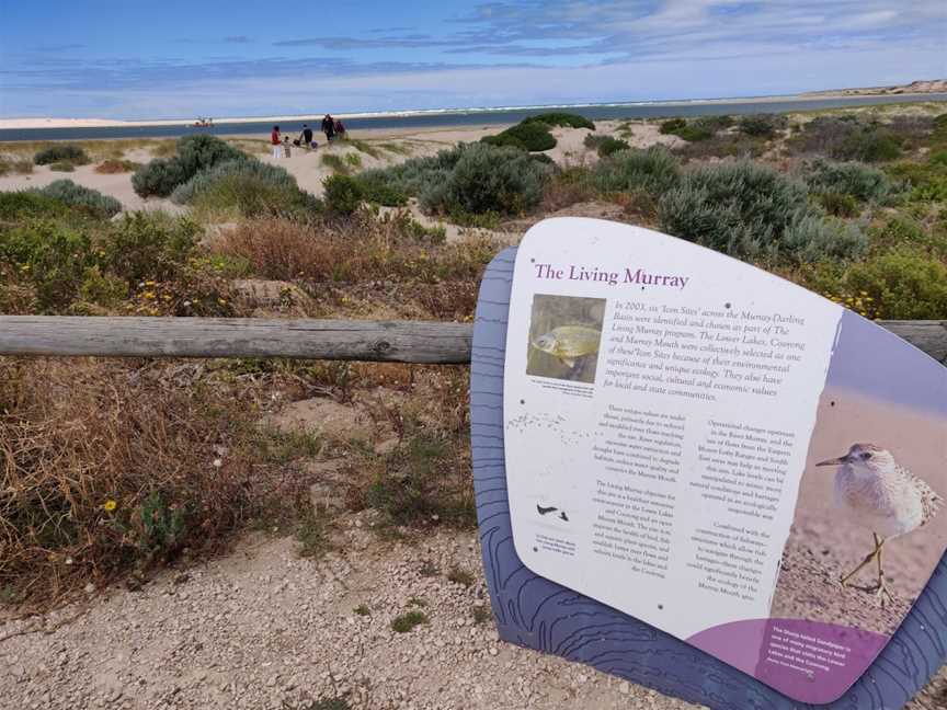 Murray Mouth Lookout, Hindmarsh Island, SA