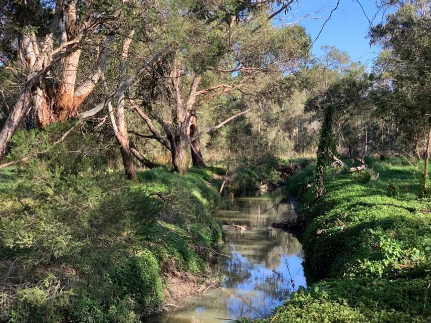 Blind Creek Trail, Wantirna, VIC